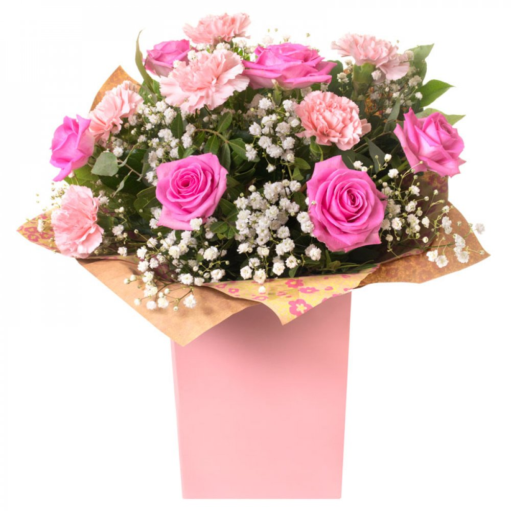 Roses & Ruffles OUT OF STOCK